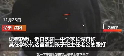 沈阳月亮最新爆料,最新爆料背后的惊人真相