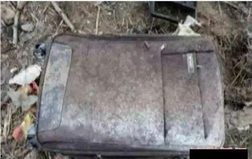 邓州拉杆箱藏尸最新爆料,最新爆料揭露惊人内幕